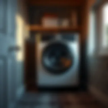 Magnificent Best Compact Laundry Machines