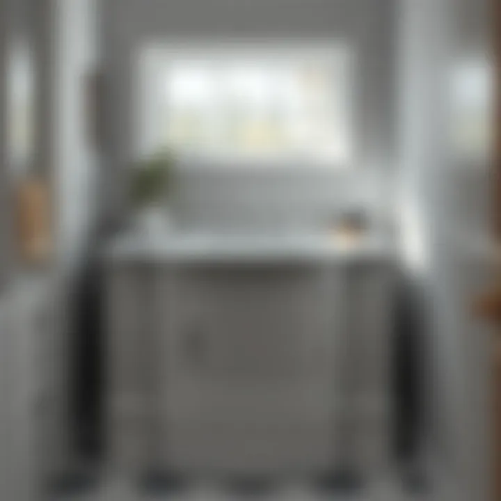 Magnificent The Blanco Liven Laundry Sink: A Comprehensive Examination