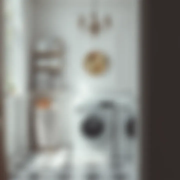 Magnificent The Pursuit of Pristine White Laundry: Techniques and Insights