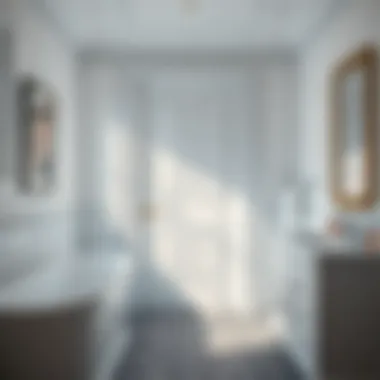 A Comprehensive Guide to Vinyl Bathroom Doors Summary