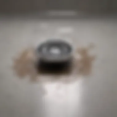 Close-up view of a clogged bathroom drain filled with hair