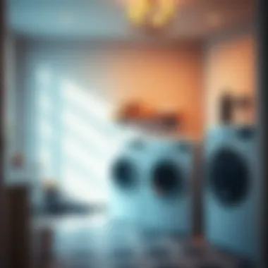 Cost-saving benefits of laundry options