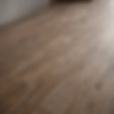 Sleek Vinyl Flooring Sleek vinyl flooring that mimics hardwood texture