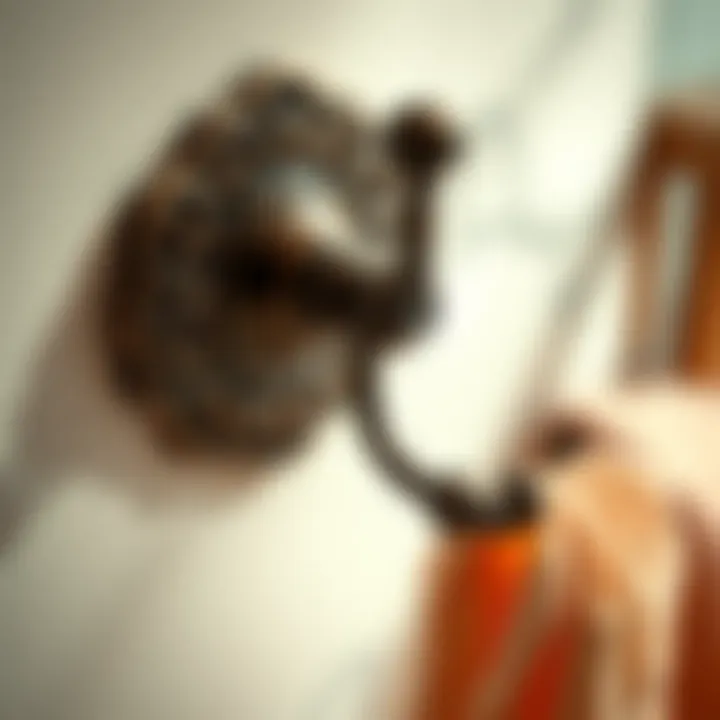 Close-up of a decorative towel hook showcasing intricate design