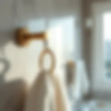 Stylish modern towel hook in a contemporary bathroom setting