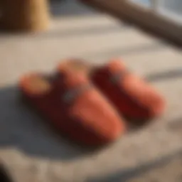 Cozy slippers in a modern living room setting