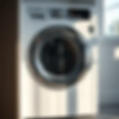Notable Best Compact Laundry Machines