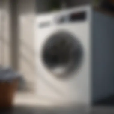 Maintaining Fresh Laundry Best practices for maintaining fresh laundry
