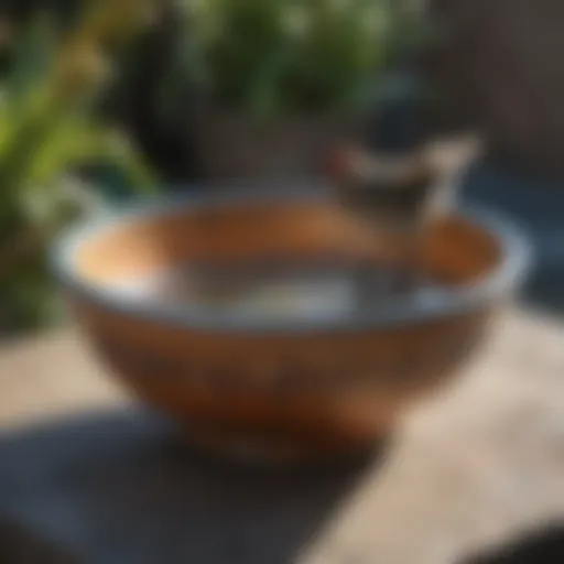 Elegant ceramic bowl for bird bath