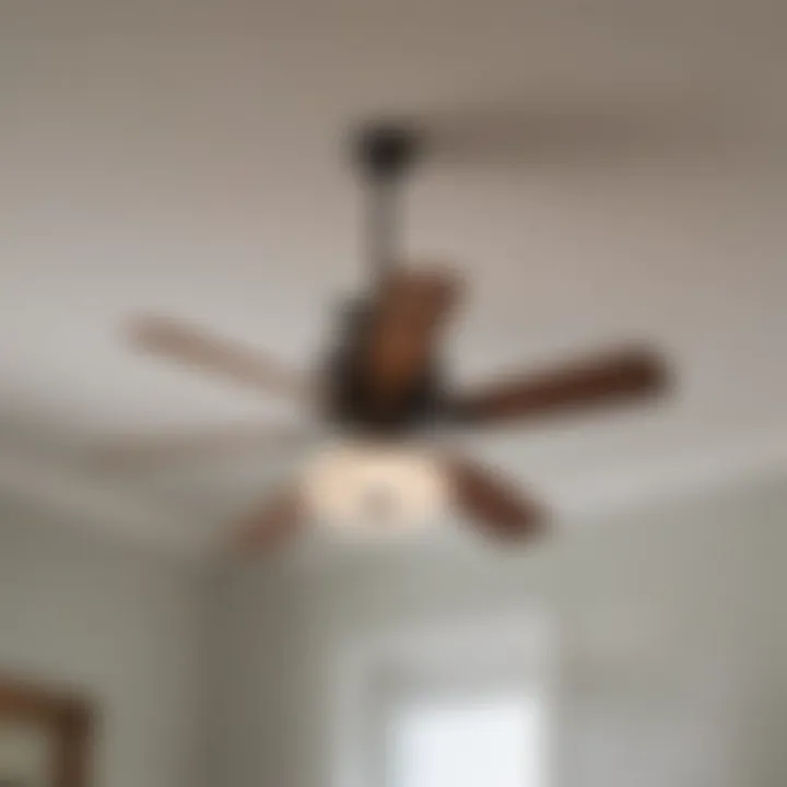 Maintenance of a ceiling fan light in a bathroom setting