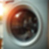 Comprehensive Guide on Cleaning Your Laundry Washer Introduction