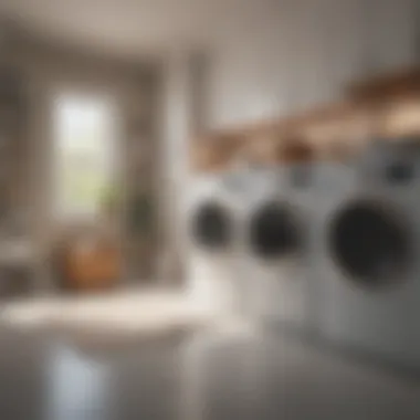 Organized laundry room featuring sorter canvas bags