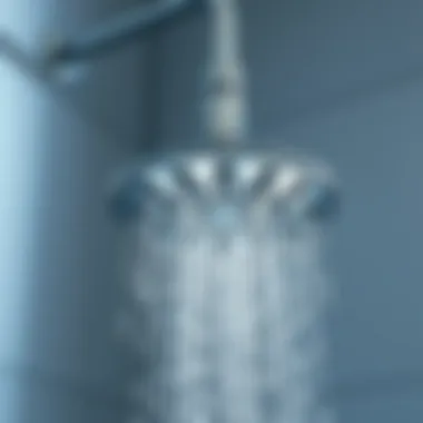 Stylish shower head with multiple settings