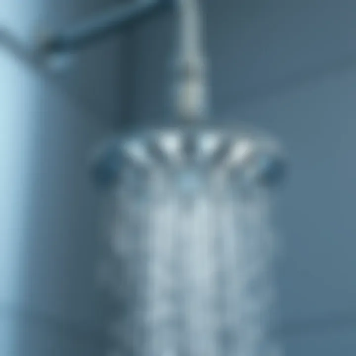Stylish shower head with multiple settings