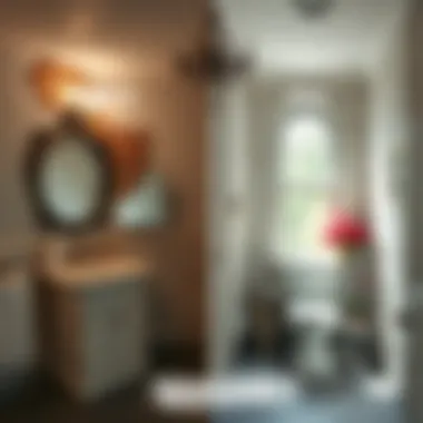 Before and after mold removal transformation