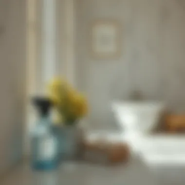 Natural cleaning products for mold removal