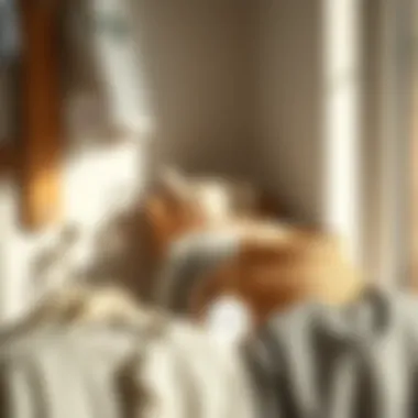 Sustainable Laundry Marker Options Eco-friendly laundry markers displayed with sustainable materials