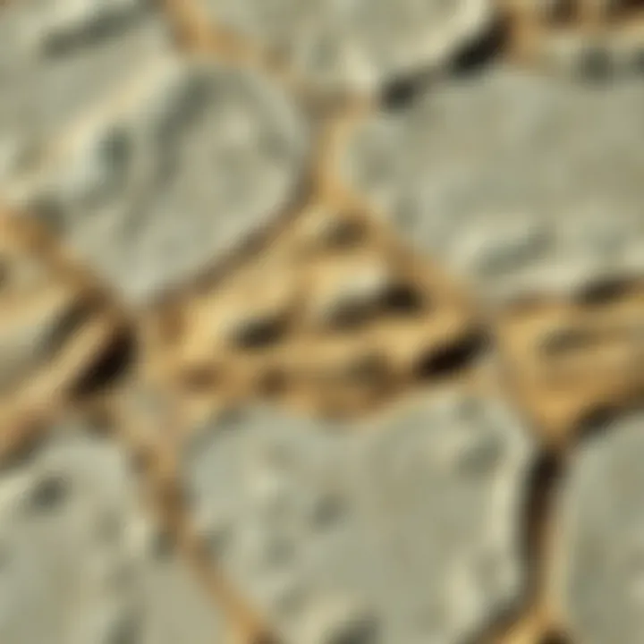 Textured Rock Tile Surface Close-up of textured rock tile surface