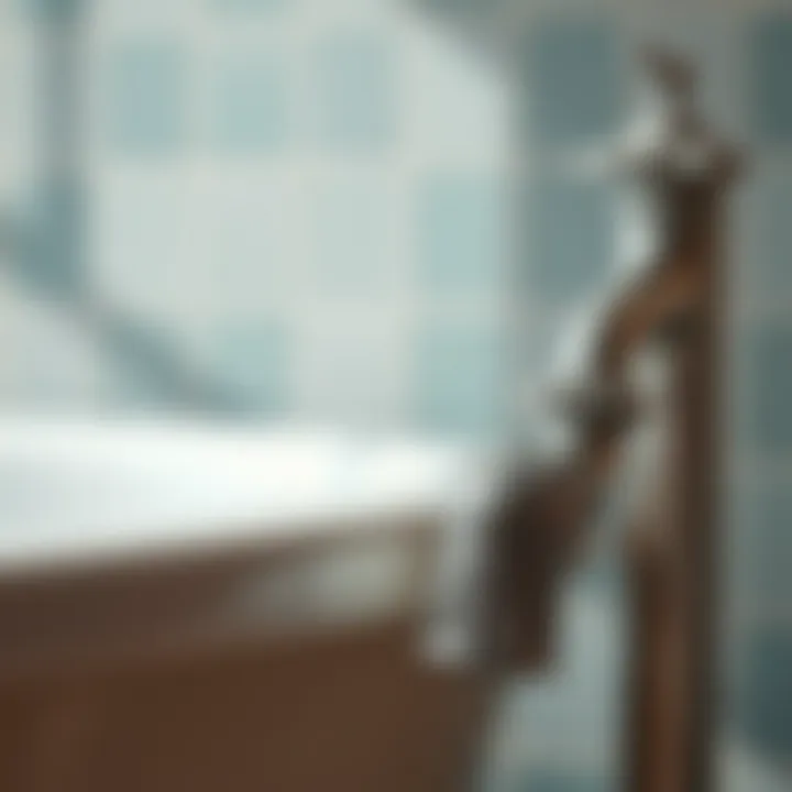Close-up of a vintage bathtub spout showcasing intricate details
