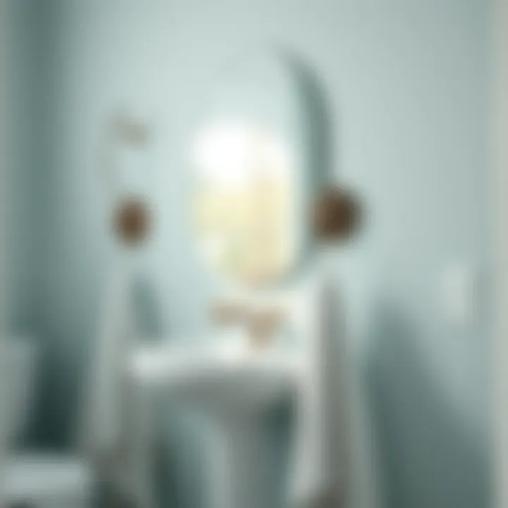Exploring Decorative Bathroom Hooks for Towels: A Blend of Functionality and Aesthetics Summary