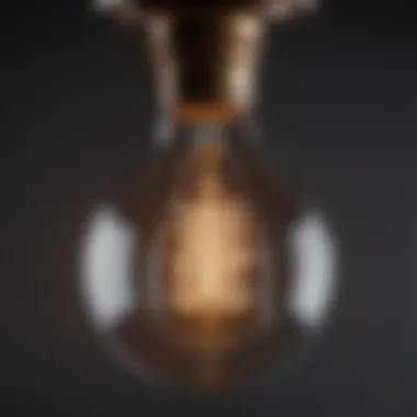Close-up of an Edison bulb showcasing its vintage style and intricate filament design