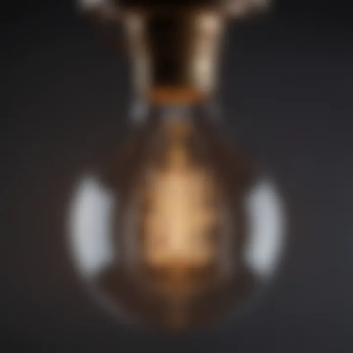 Close-up of an Edison bulb showcasing its vintage style and intricate filament design