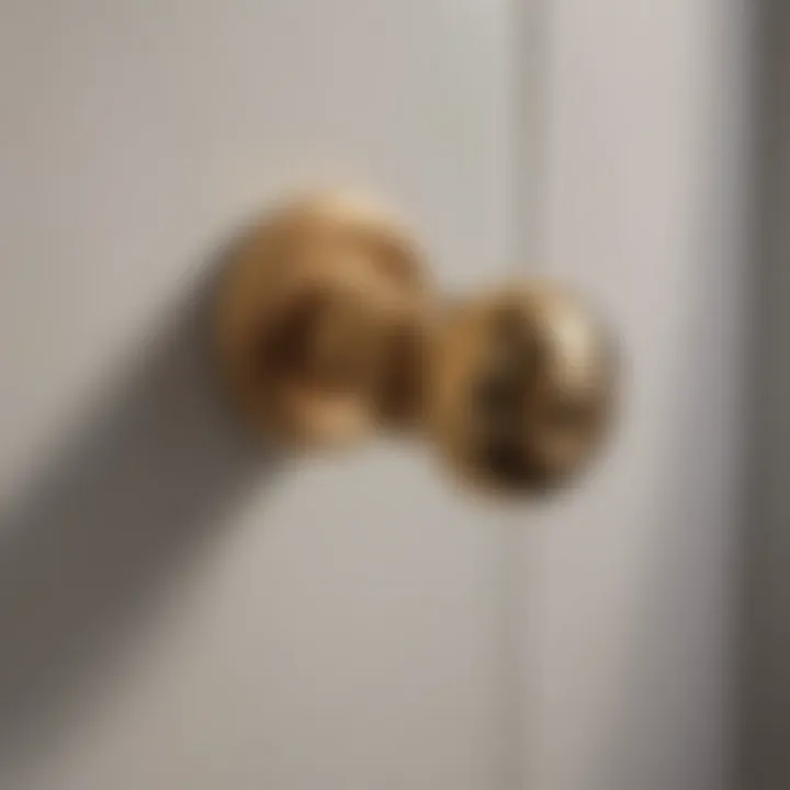 Variety of gold bathroom door handles showcasing unique designs