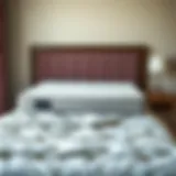 Illustration of a single mattress perfectly fitting a fold-up bed.