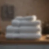 Luxurious bath towels displayed elegantly on a bathroom shelf