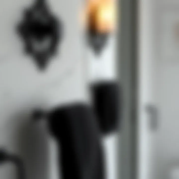 Exploring the Elegance of Black Bathroom Towel Rings Summary