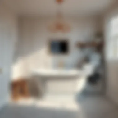 Elegant Mustee Utilatub laundry tub in a modern laundry room