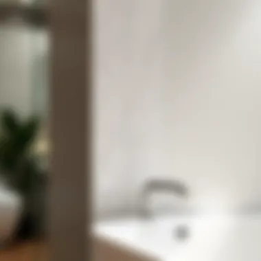 Installation of polished nickel bath hook in a modern bathroom