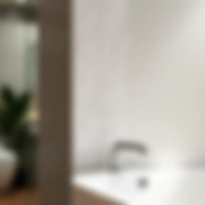 Installation of polished nickel bath hook in a modern bathroom