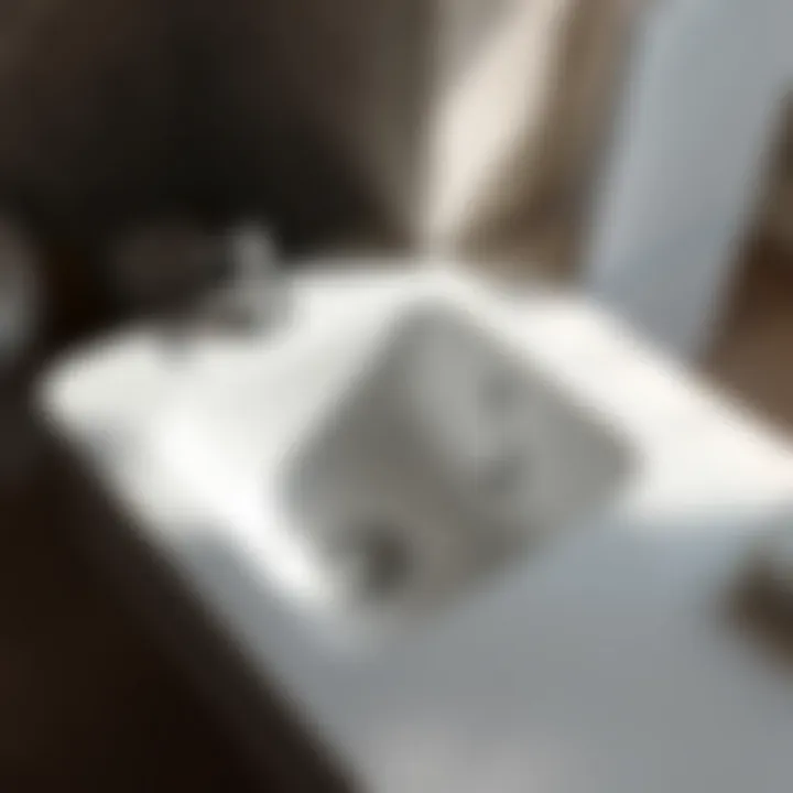 Close-up of a two hole sink made from high-end materials