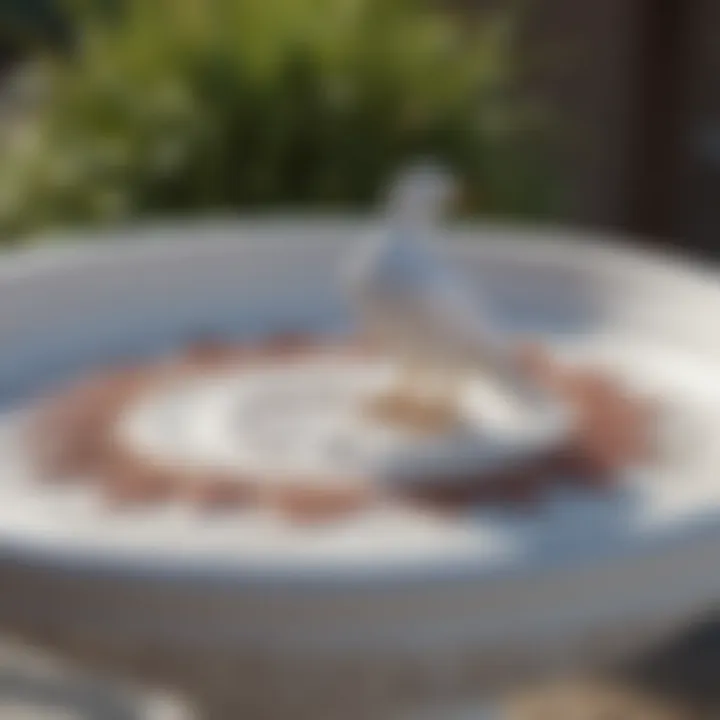 Close-up of a decorative white bird bath with intricate designs