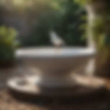 Diverse Styles Showcase Various styles of white bird baths on display