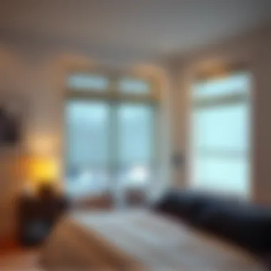 Sleek roller shades providing modern elegance