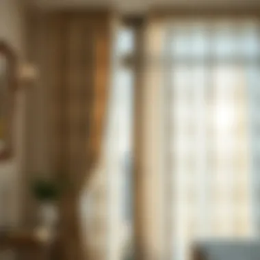 Elegant sheer curtains allowing soft light