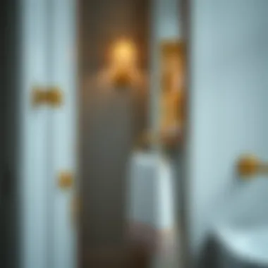 Sophisticated Towel Ring Design Modern towel ring with decorative elements in a bathroom