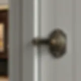 Elegant barn door lock showcasing modern design