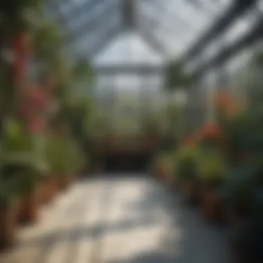 A modern greenhouse filled with thriving indoor plants