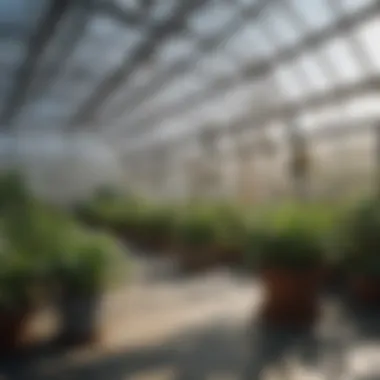 Temperature control systems in a greenhouse