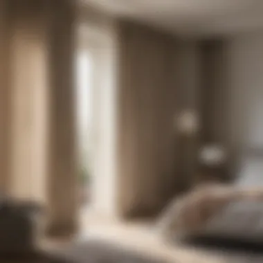 Elegant Curtain Divider in Bedroom Elegant curtains used for separation