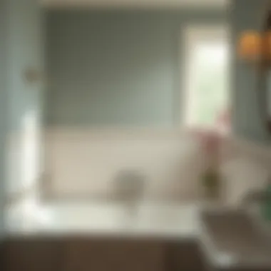 Essential Maintenance Tips for Safety Bars Maintenance tips for bathtub safety bars showcased