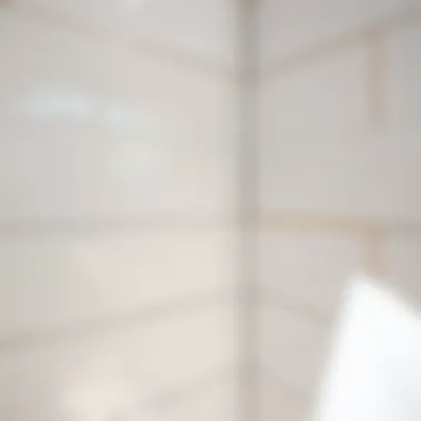 Close-up view of freshly sealed bathroom shower tiles showcasing a glossy finish.