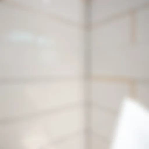 Glossy Finished Shower Tiles Close-up view of freshly sealed bathroom shower tiles showcasing a glossy finish.