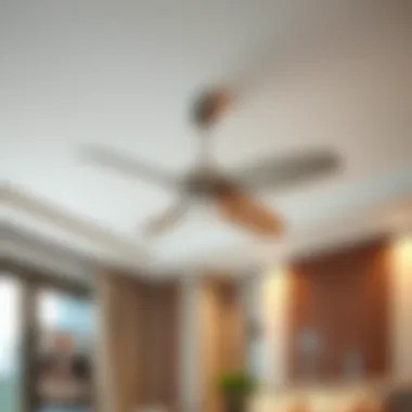 Elegant design of a silent ceiling fan with modern decor