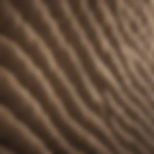 Close-up of a stylish sound-absorbing panel with unique texture