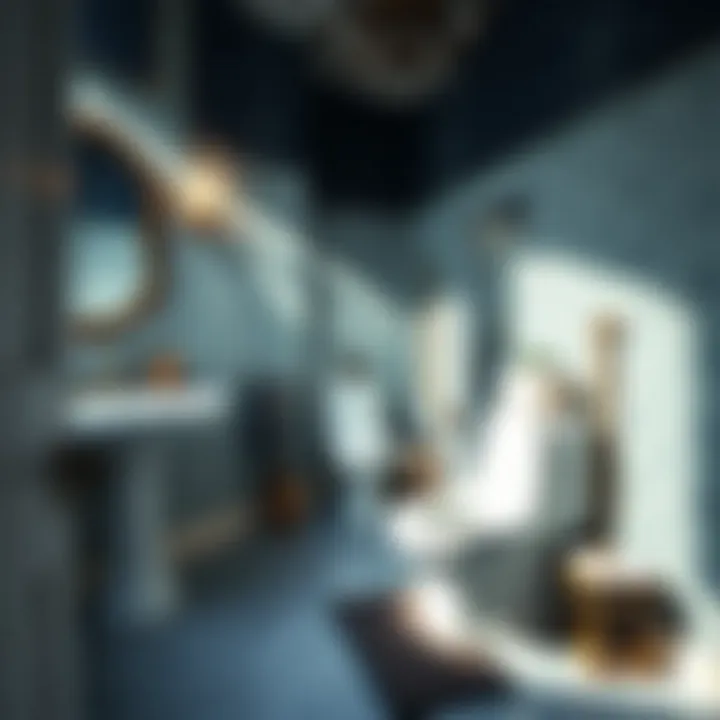 Stylish bathroom featuring a well-chosen toilet bath mat