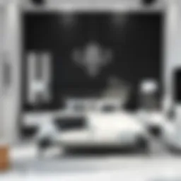 Elegant black and white bedroom showcasing minimalist design